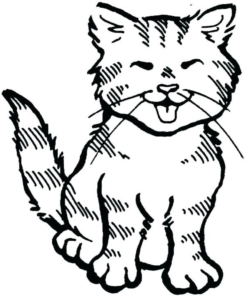 Pete The Cat Coloring Page Full Size