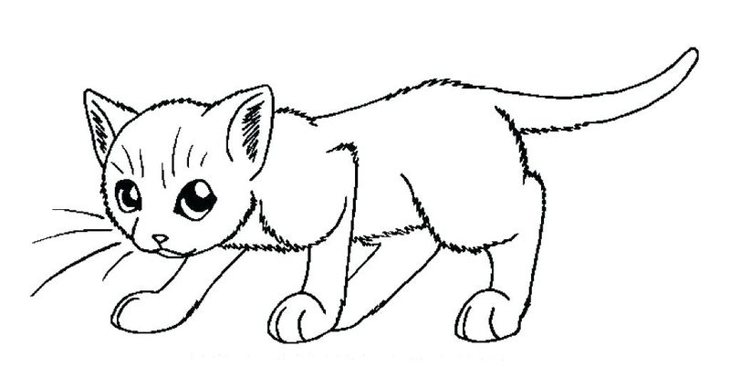 Pete The Cat White Shoes Coloring Page