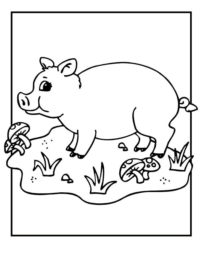 Pig Animal Coloring Page