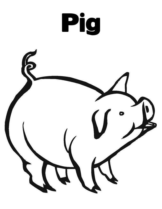 Pig Animal Coloring Page 1