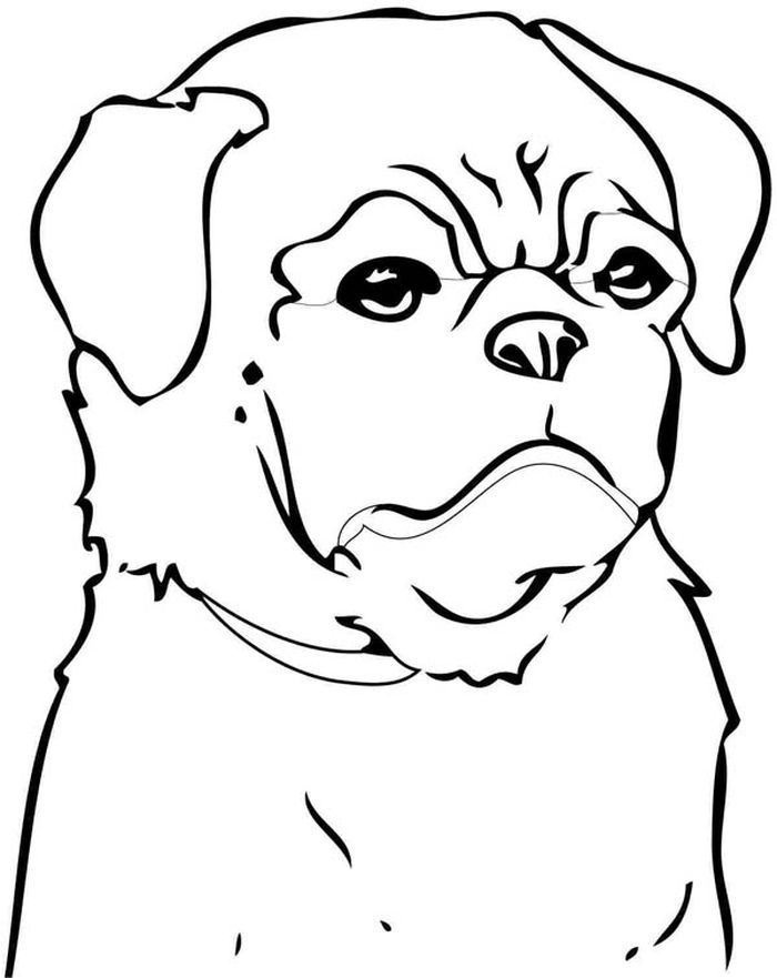 Pitbull Cartoon Coloring Pages