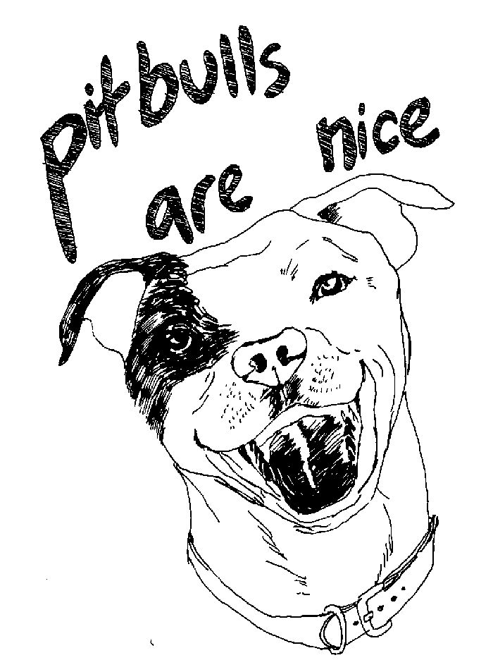 Pitbull Coloring Pages To Print For Free