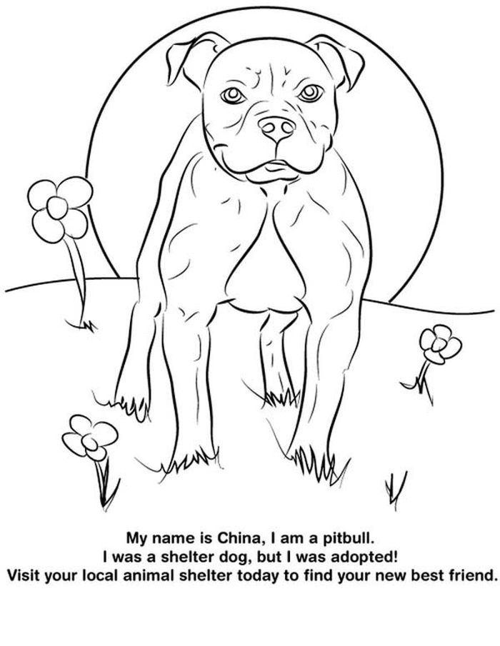 Pitbull Coloring Pages With Funny Quotes
