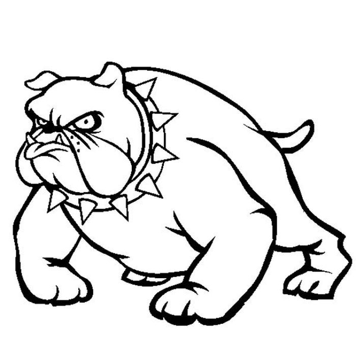 Pitbull Coloring Pages