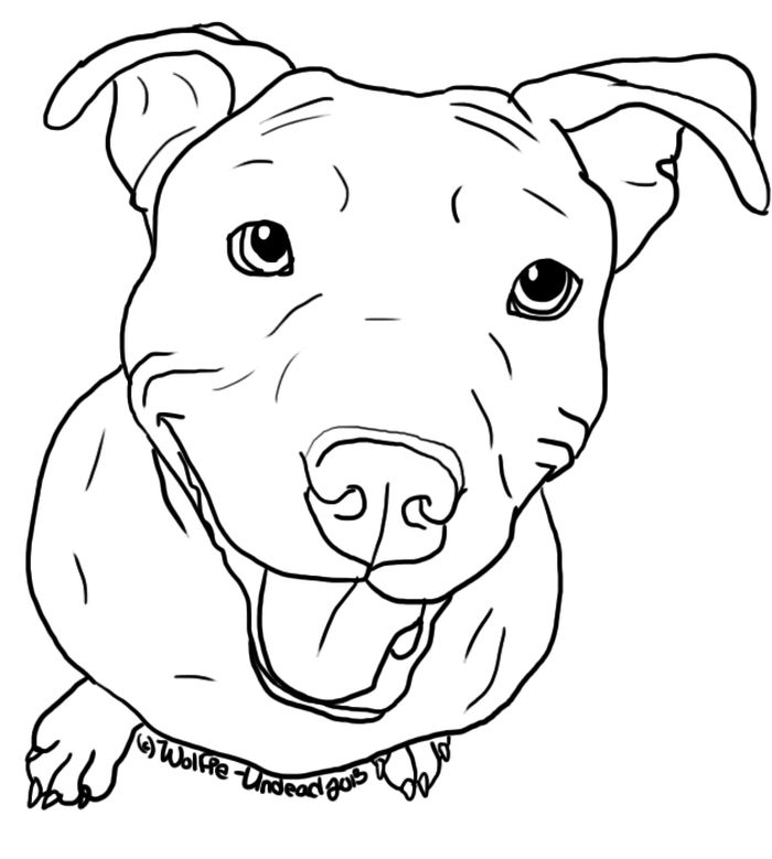 Pitbull Dog Coloring Pages