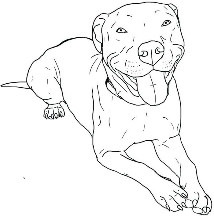 Pitbull Hard Coloring Pages