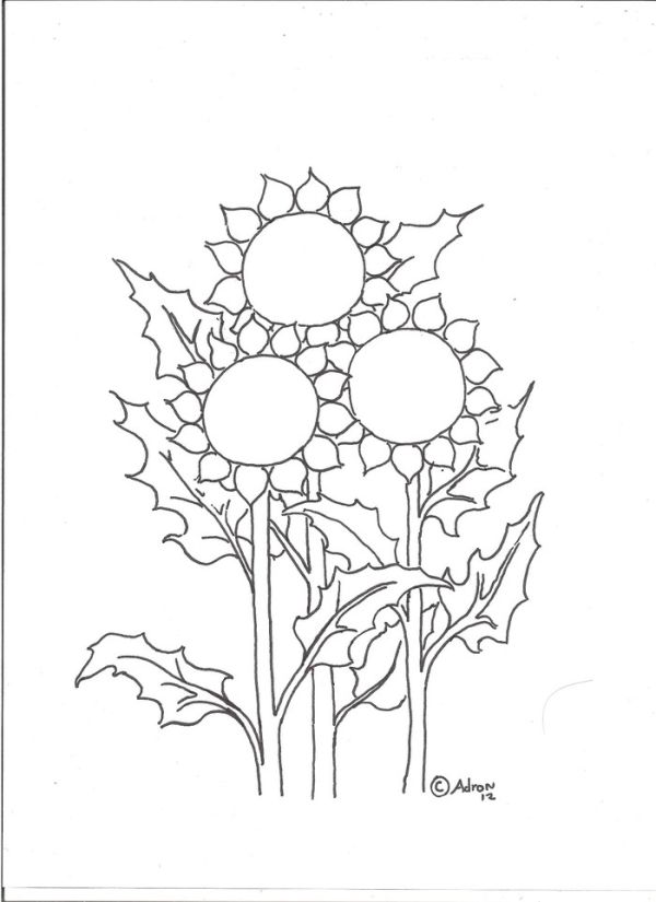 Plant sunflower coloring pages