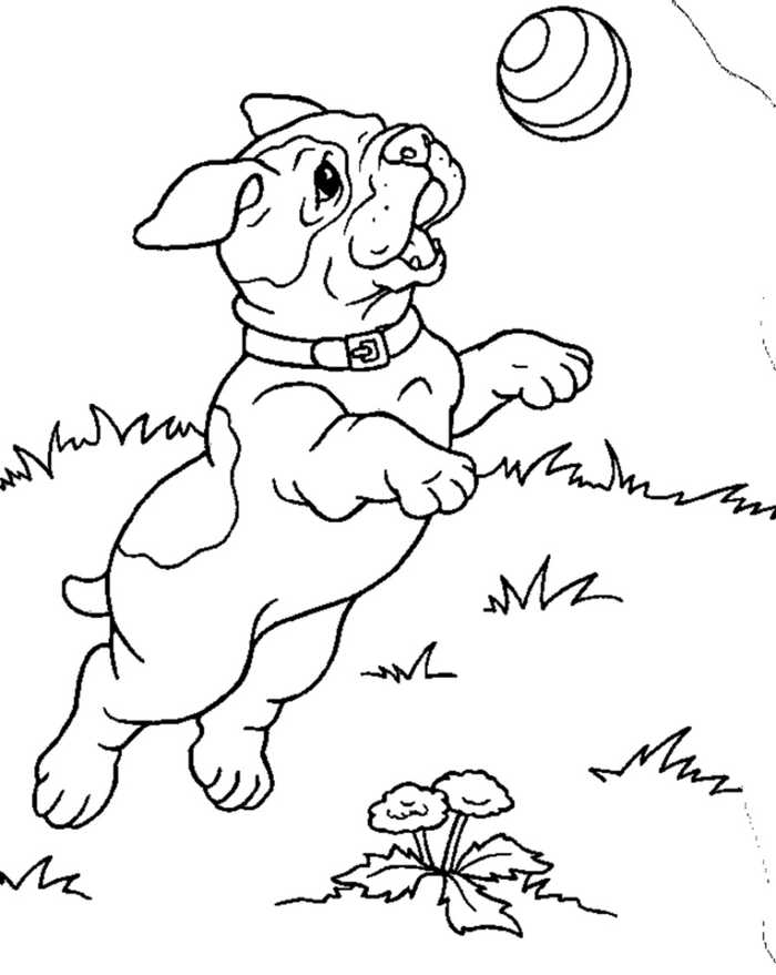 Playing Ball Dog Coloring Pages
