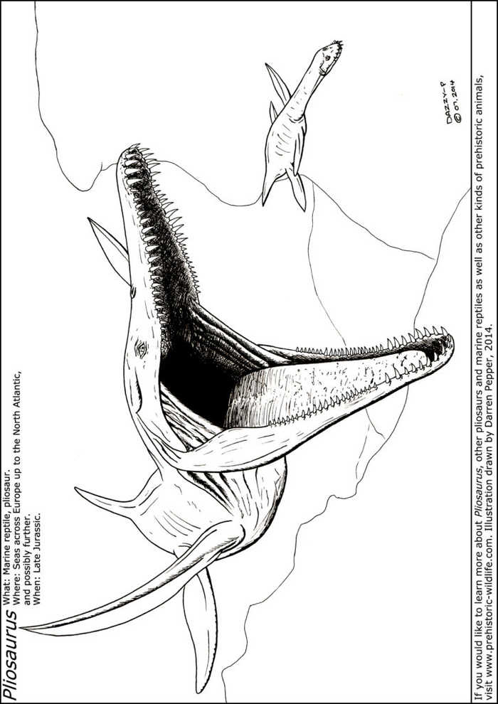 Pliosaurus Info Sheet