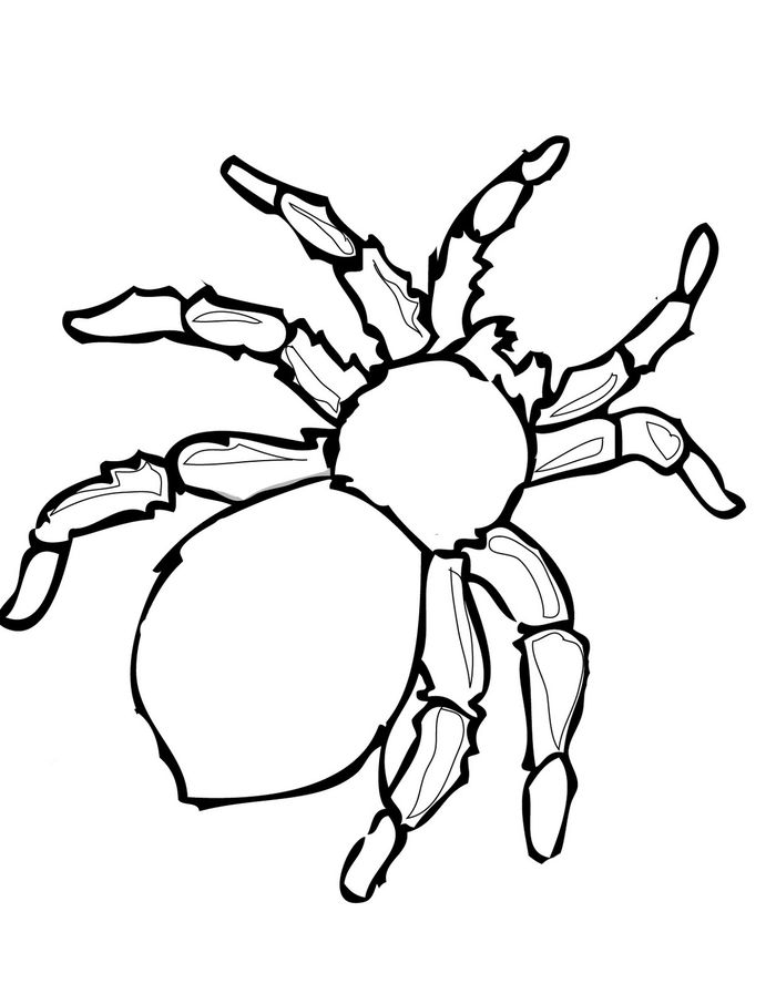 incy wincy spider colouring pages