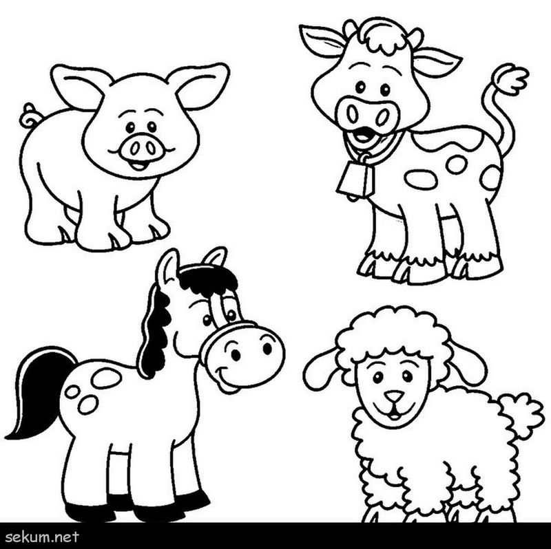 Preschool Coloring Pages Farm Animals
