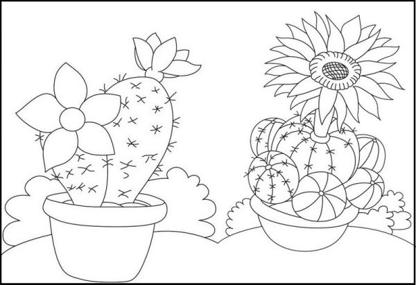 Pretty Cactus Flowering Coloring Pages for Girls