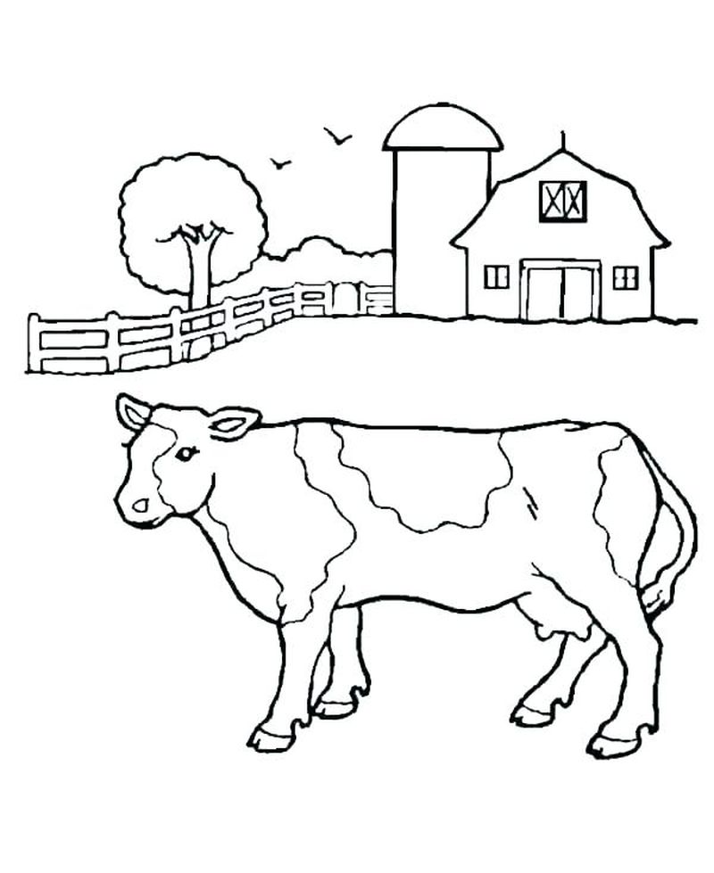 Cute Cow Coloring Pages PDF - Coloringfolder.com