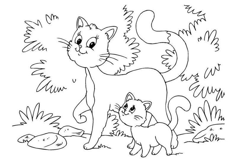 Printable Coloring Pages of Cats