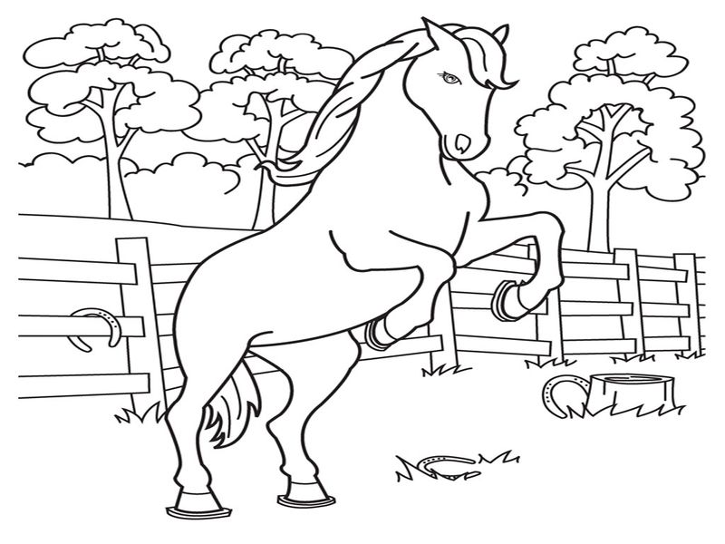 Printable Coloring Pages of Horses