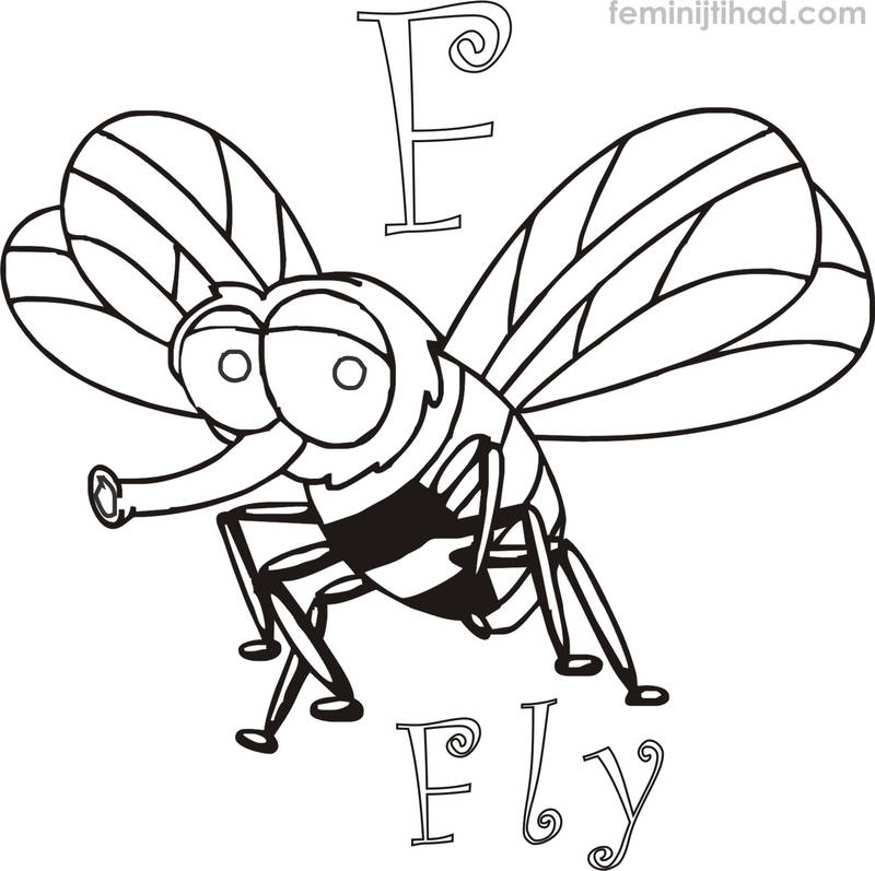 Printable Fly Coloring Page download