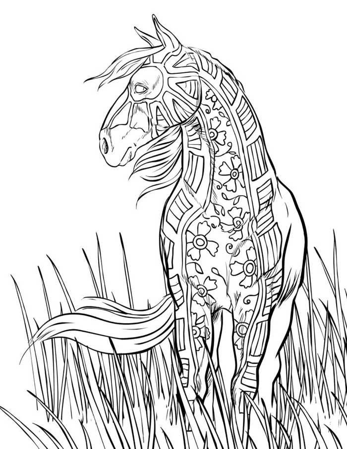 Printable Horse Coloring Pages For Adults