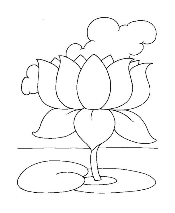 Printable Lotus Coloring Pages