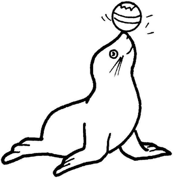 Printable Seal Coloring Pages