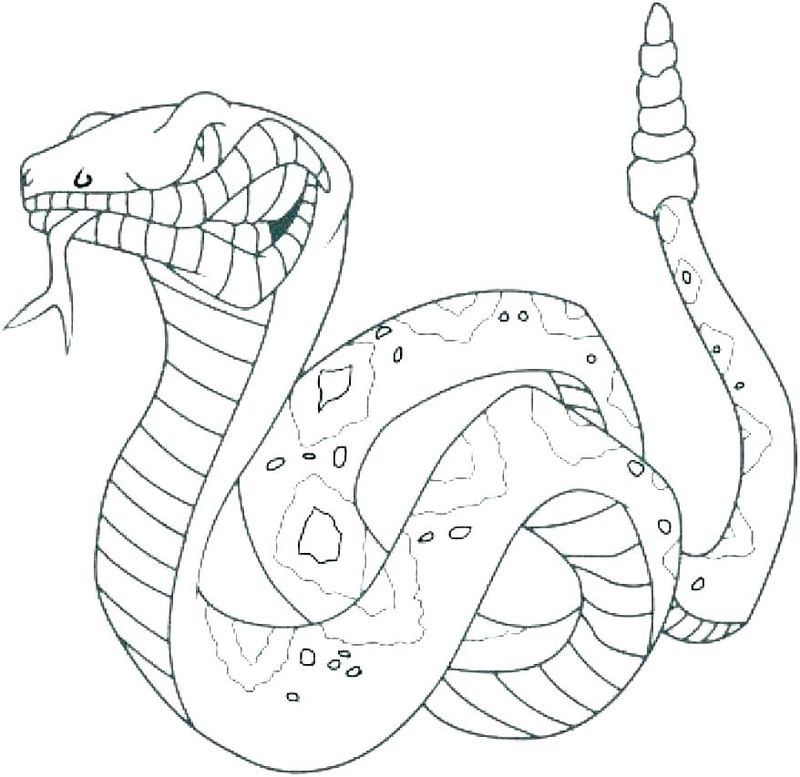 Printable Snake Coloring Pages