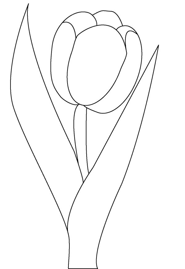 Printable Tulip Coloring Pages