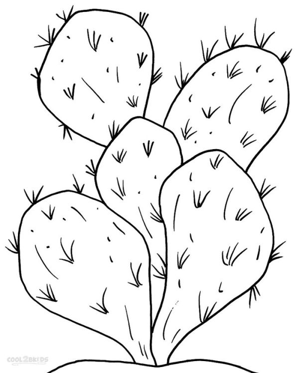 Printable cactus coloring pages for kids