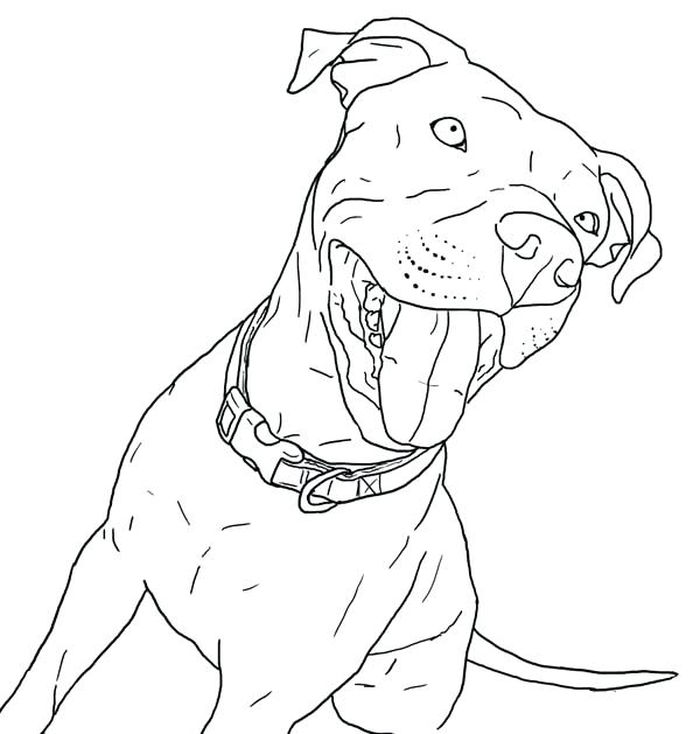 Puppies Coloring Pages Girl Pitbull
