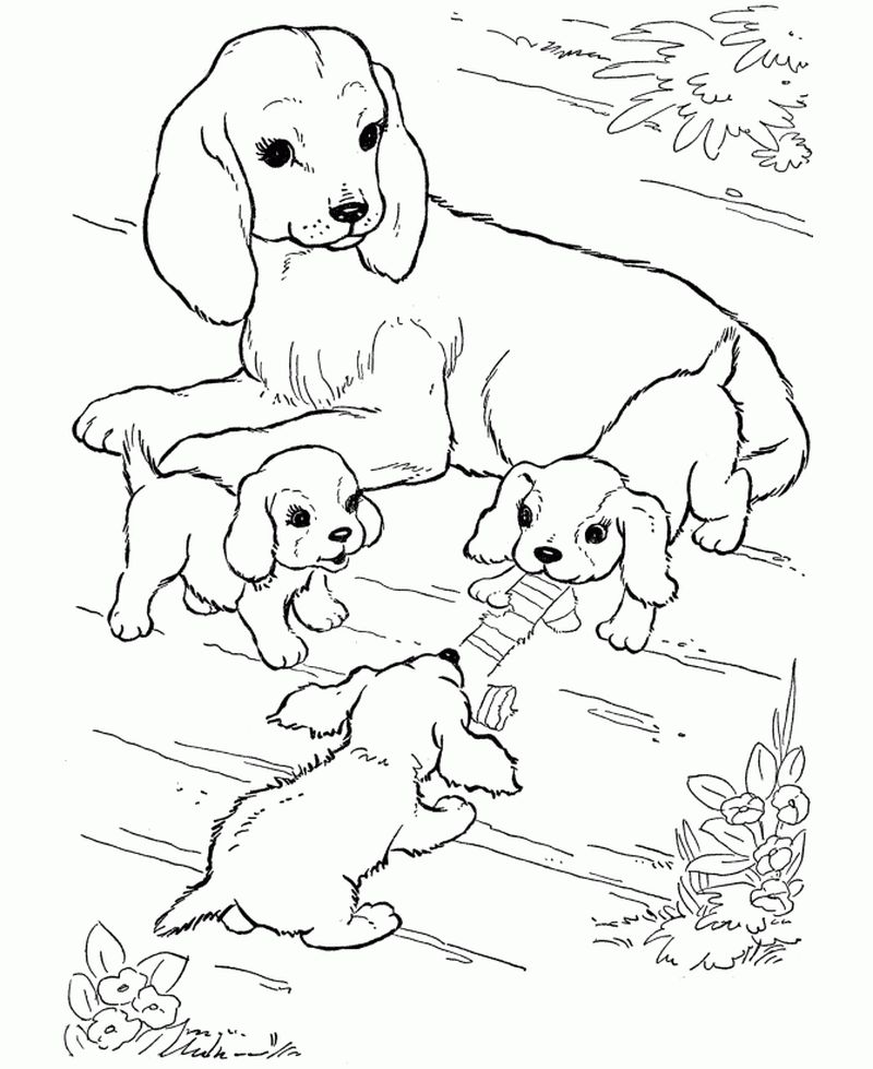 Puppy Dog Coloring Pages
