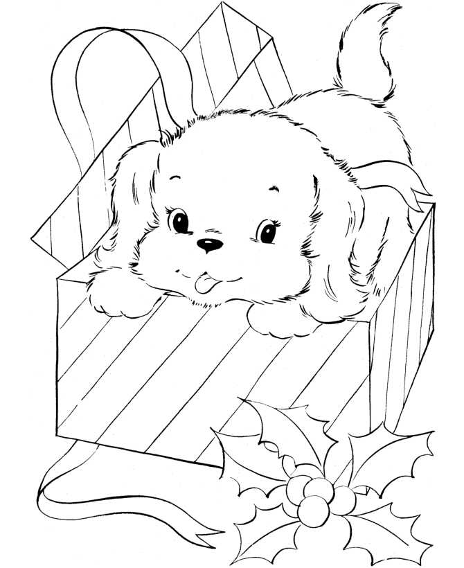 Puppy For Christmas Present Coloring Page