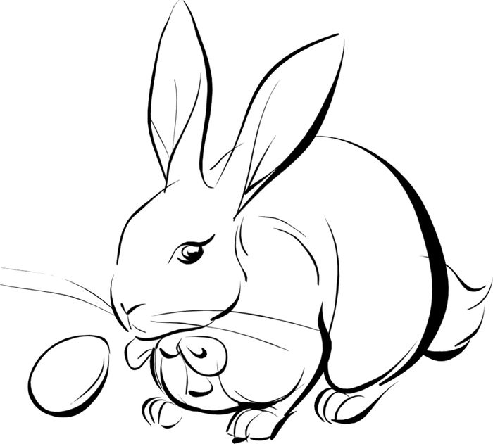 Rabbit Adult Coloring Pages