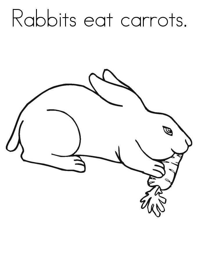 Rabbit Animal Coloring Pages