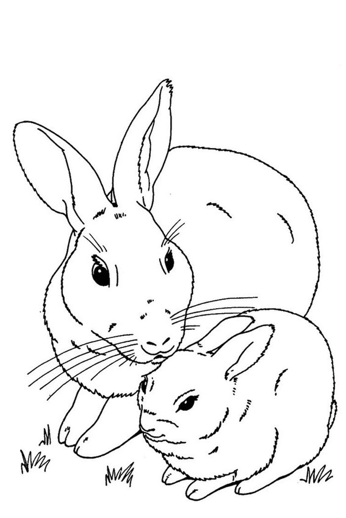 Rabbit Coloring Pages To Print