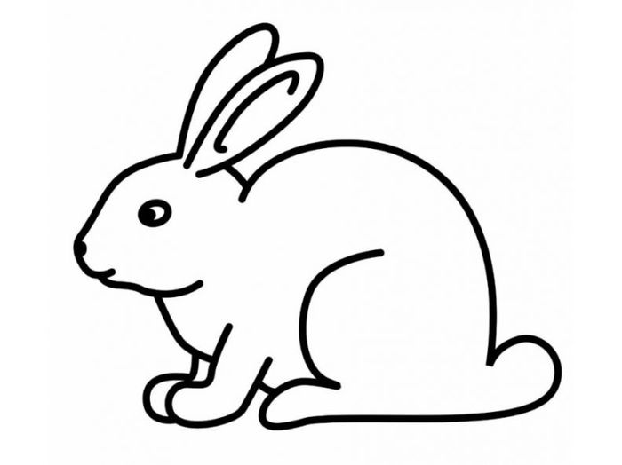 Rabbit Printable Coloring Pages