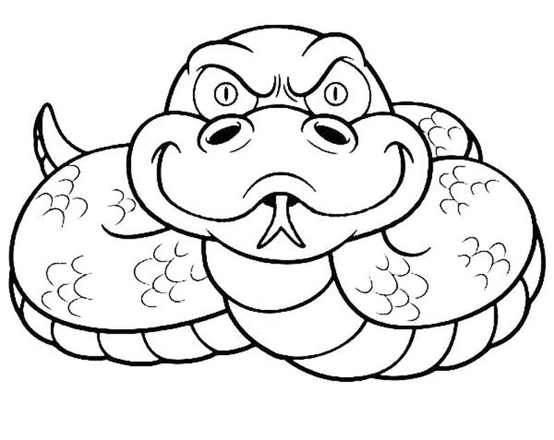Rainforest Snake Coloring Pages