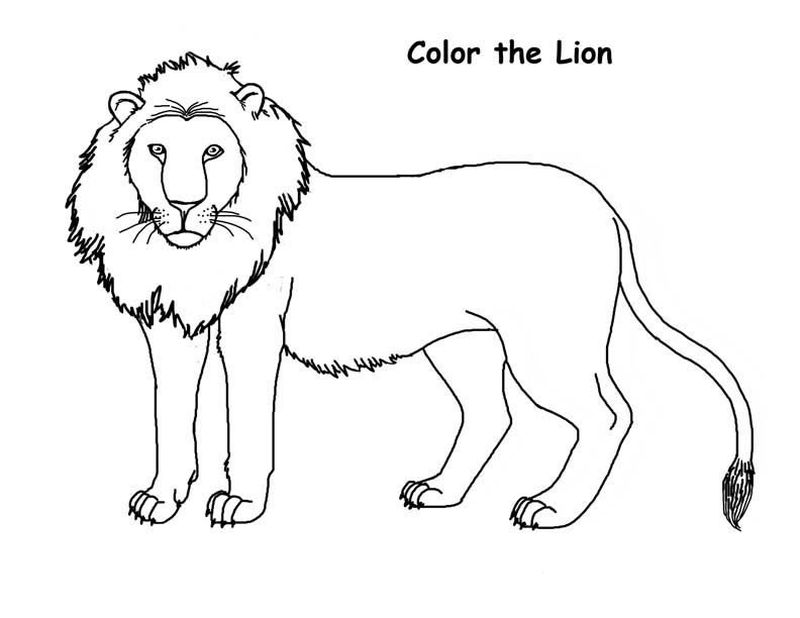 Real Lion Coloring Pages