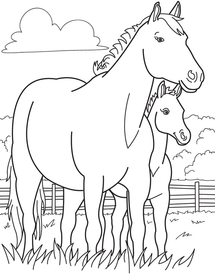 Realistic Farm Animal Coloring Pages