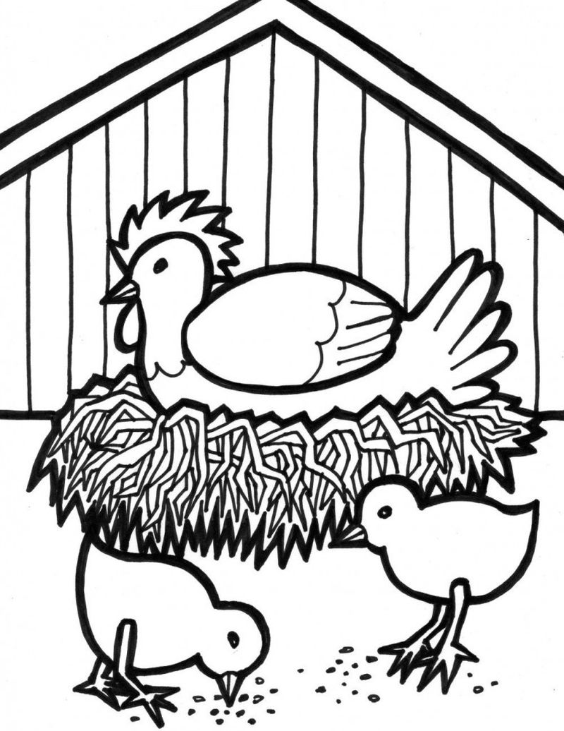 Realistic Farm Coloring Pages