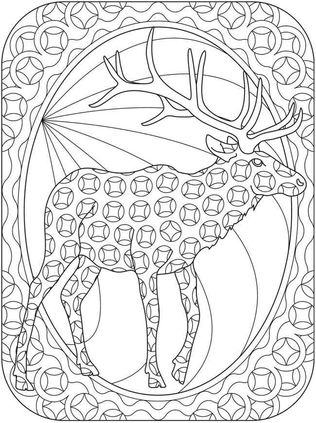 Reindeer Coloring Pages For Adults 1