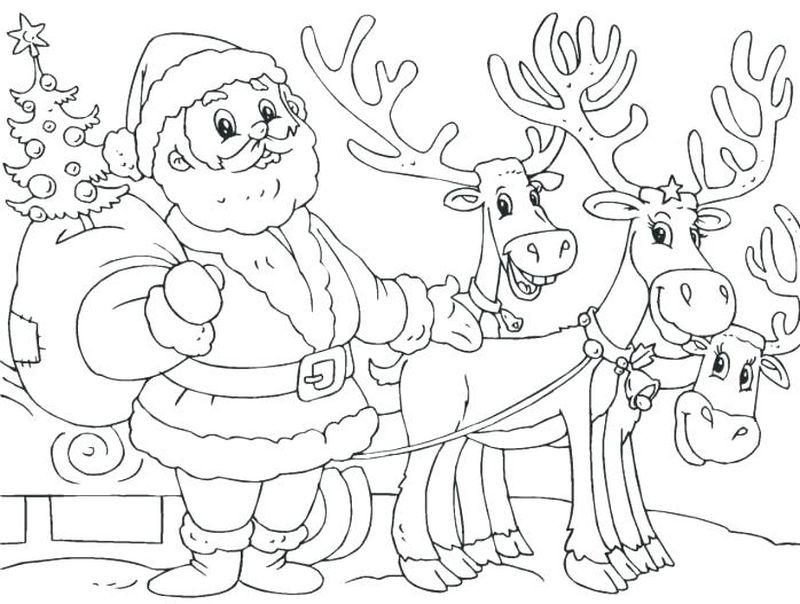 Reindeer Coloring Pages For Adults