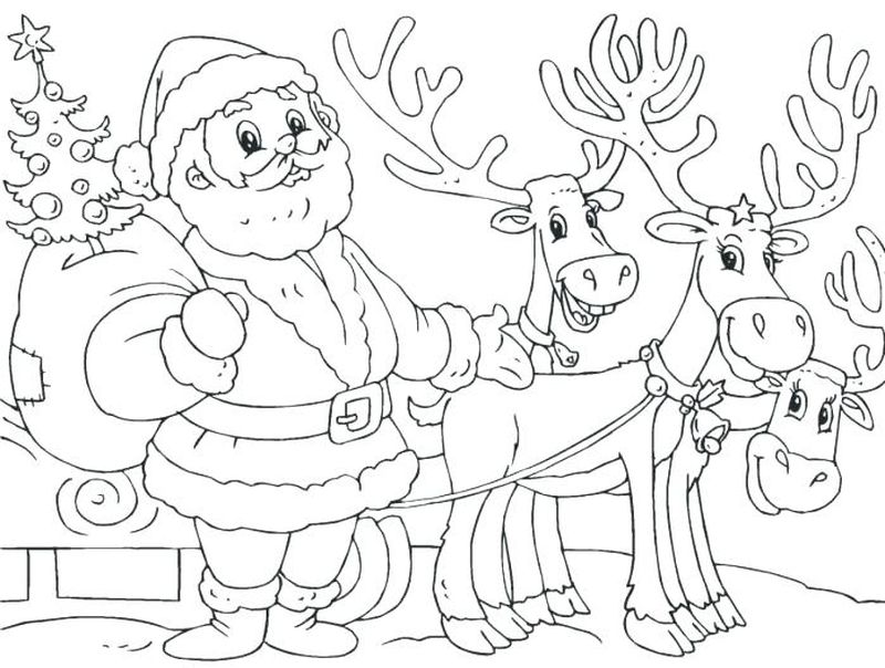 Cool Reindeer Coloring Pages PDF Ideas - Coloringfolder.com