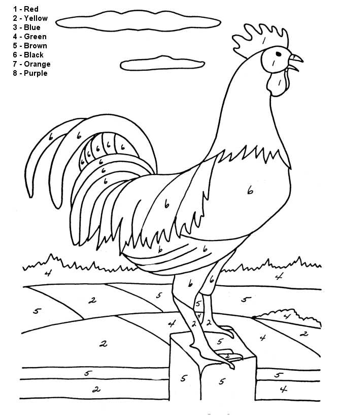 Rooster Color By Numbers For Adults