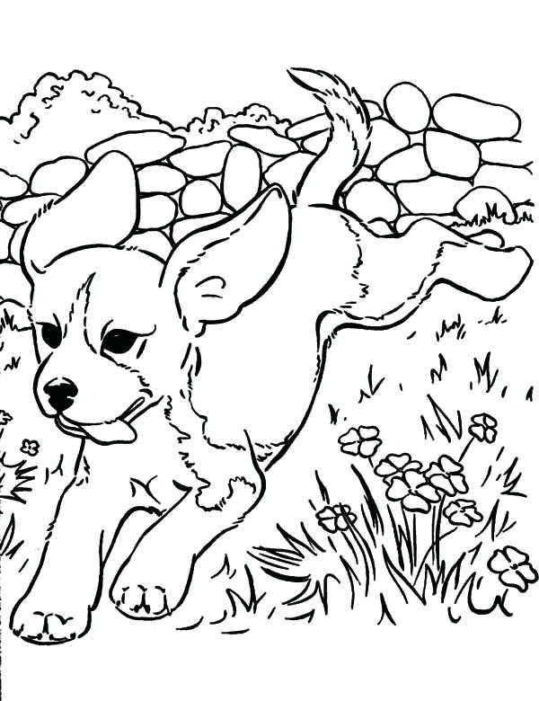 Running Dog Coloring Pages