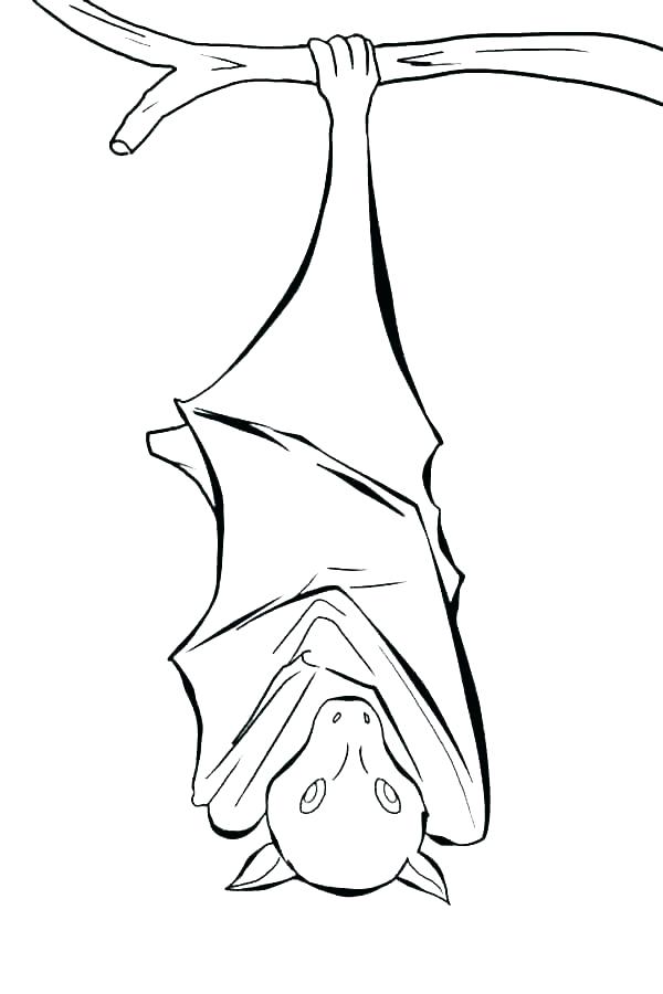 Scary Bat Coloring Pages