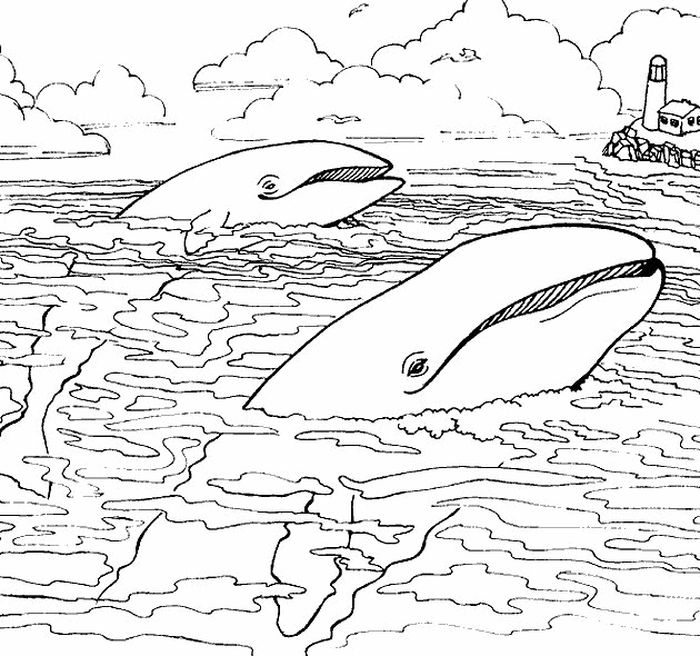Sea Animals Coloring Pages For Adults