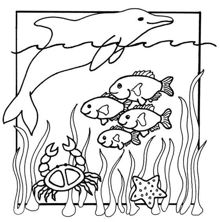 Sea Animals Coloring Pages PDF - Coloringfolder.com