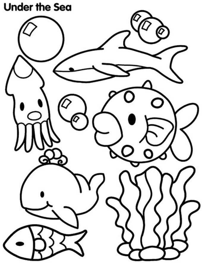 Sea Animals Coloring Pages Printable