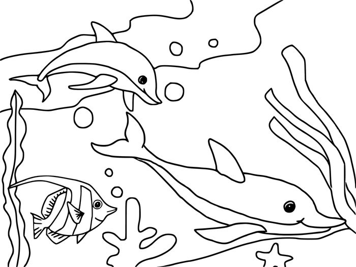 Sea Animals Free Coloring Pages