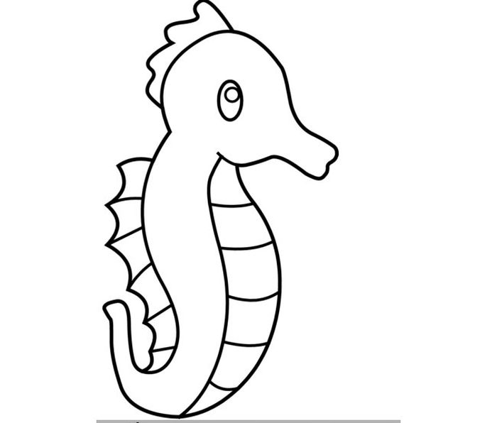 Seahorse Coloring Pages For Kids