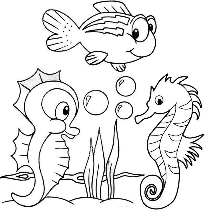 Seahorse Coloring Pages In Color