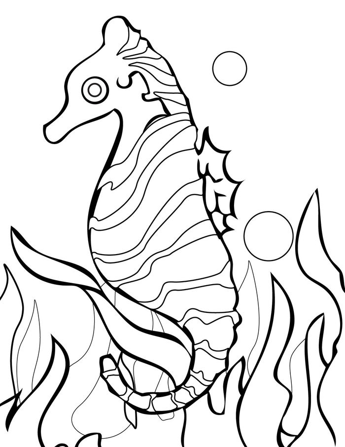Seahorse Printable Coloring Pages